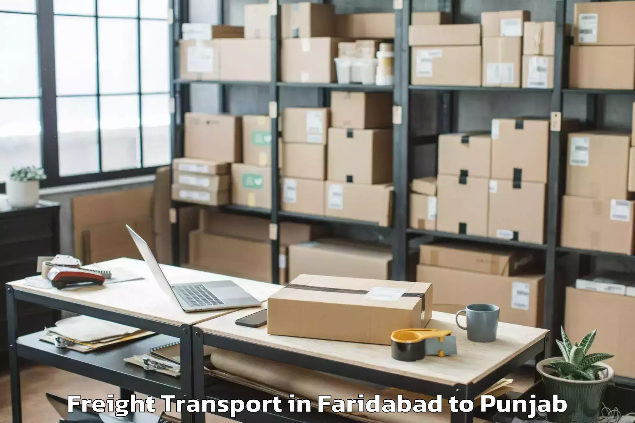 Quality Faridabad to Dera Nanak Freight Transport